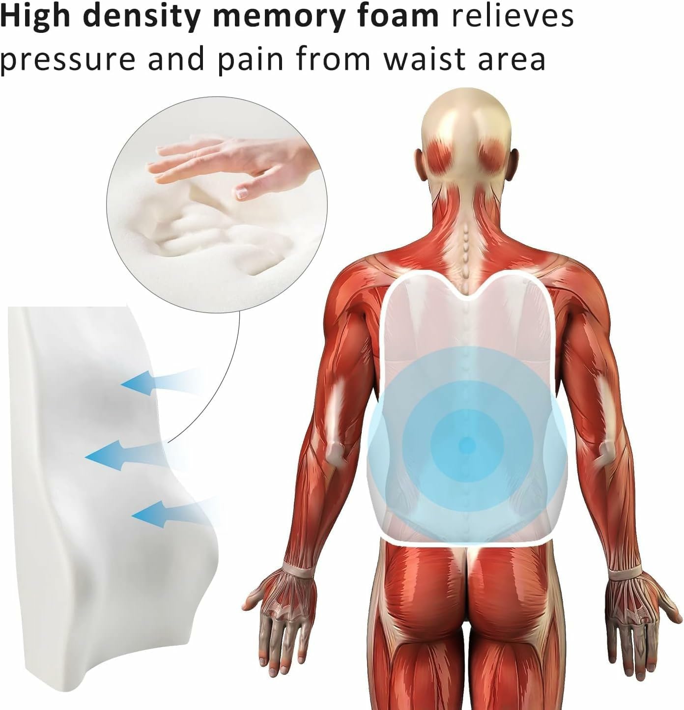 kossto Back Support for Office Chair – Orthopedic Lumbar Back Rest for Back Pain Relief